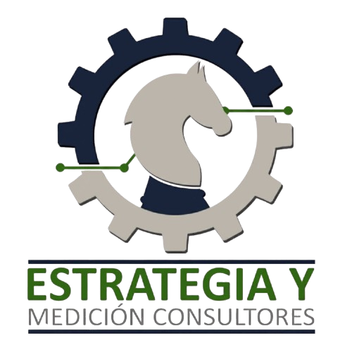 Estrategia y Medición Consultores